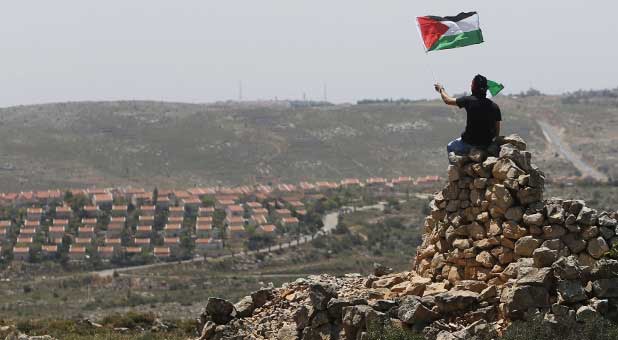 Palestinian protestor