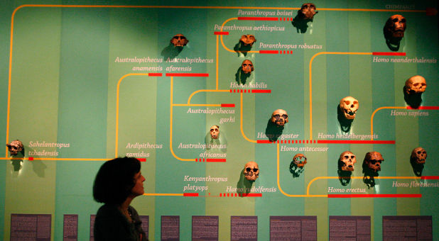 evolution exhibit