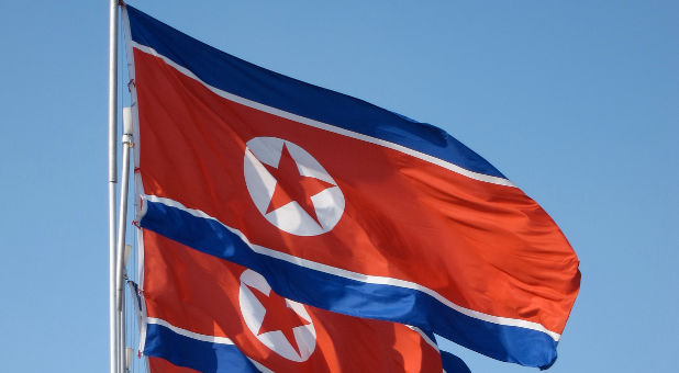 North Korea flags