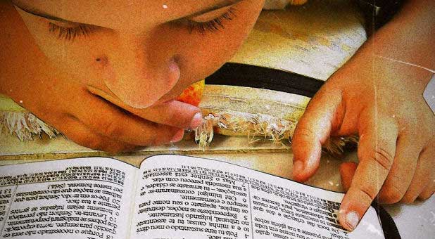 boy reading Bible