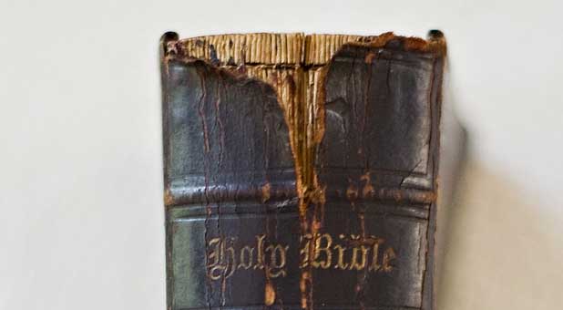 Holy Bible