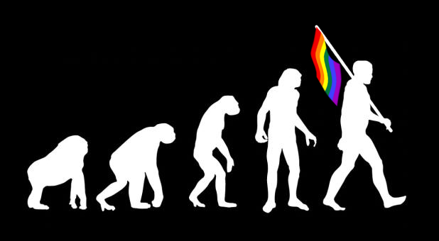 Evolution and homosexuality