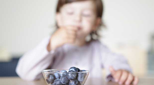 Boy and his blueberries