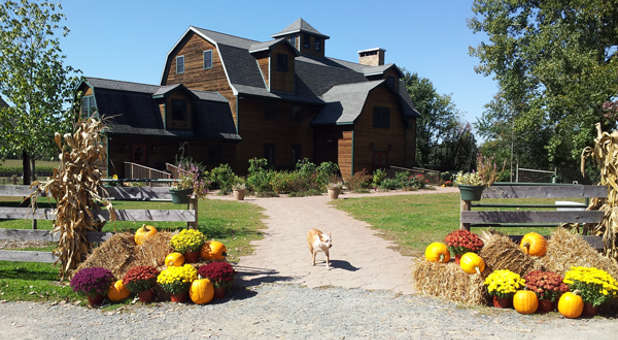 Liberty Ridge Farm