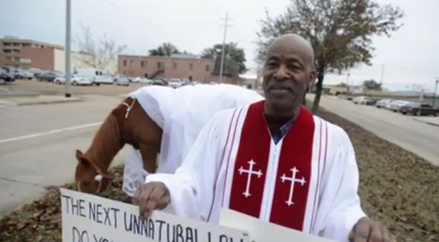 Horse in Wedding Dress Center of Pastor’s Gay Marriage Protest