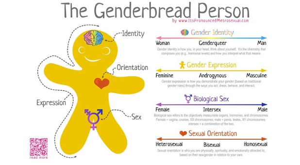 Genderbread Person