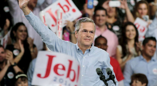 Jeb Bush