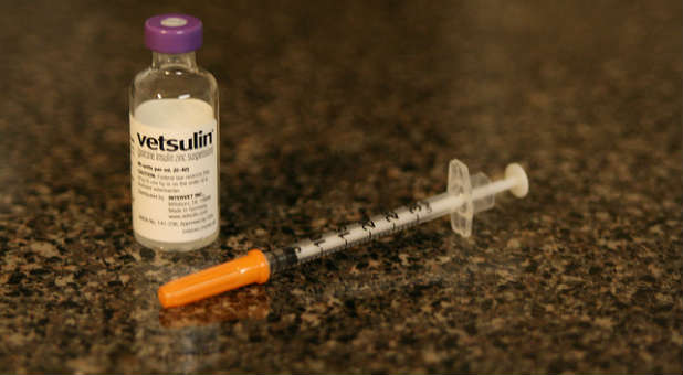 Insulin