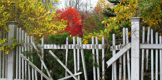 Broken fence