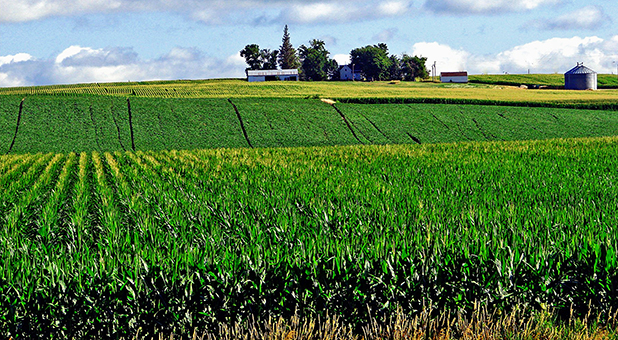 Iowa Farm Field