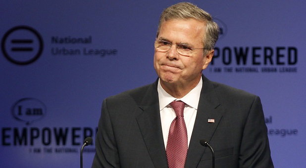 Jeb Bush