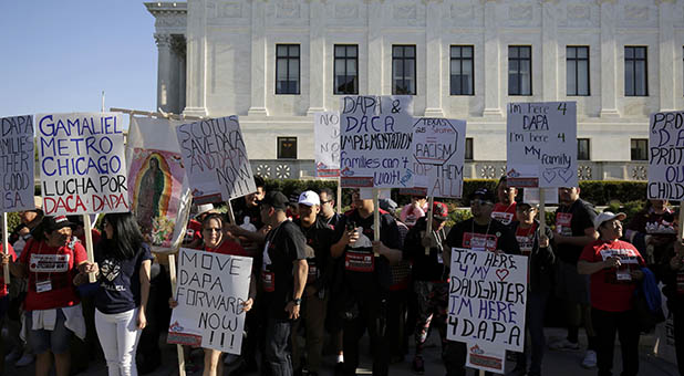 Immigration Protesters