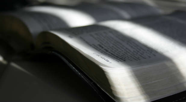 The Shocking Truth About How Americans View the Bible