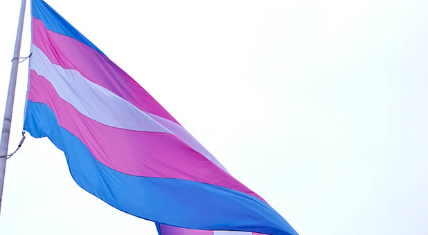 Transgender Flag