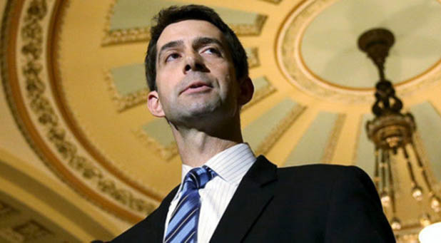 Tom Cotton