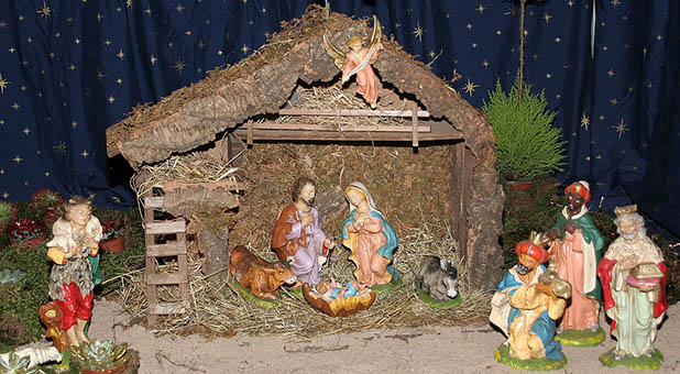 Nativity Display