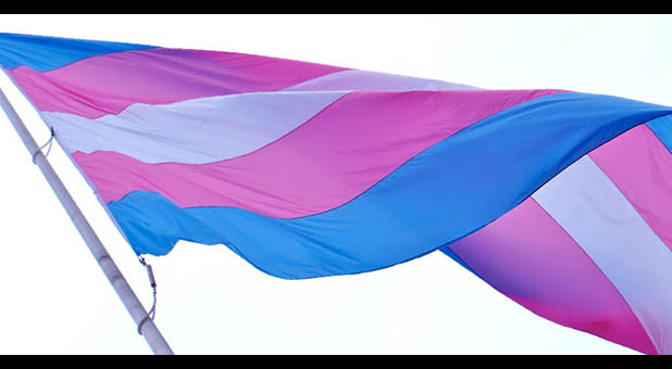 Transgender Flag