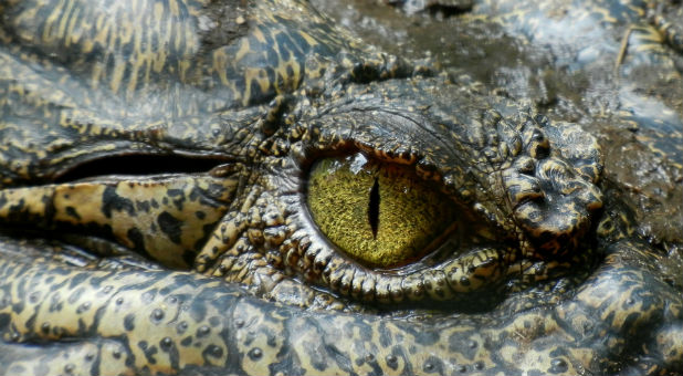 A pastor was not swallowed up by crocodiles while walking on water.