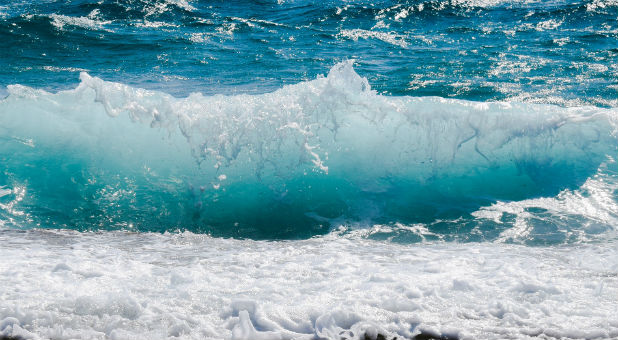 As many as 80—though one witness says it was 30—beachgoers joined hands to save a group of people from a riptide in Panama City Beach, Florida.