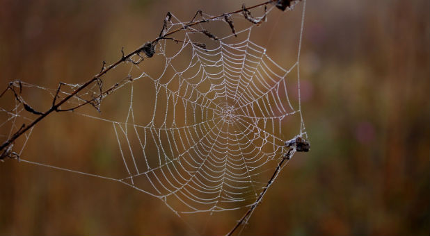 Millions of people will be celebrating Halloween on Tuesday, Oct. 31, including many Christians.