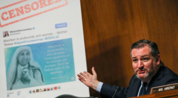 Senator Ted Cruz, R-Texas, shows a board before a Senate Judiciary Constitution Subcommittee.