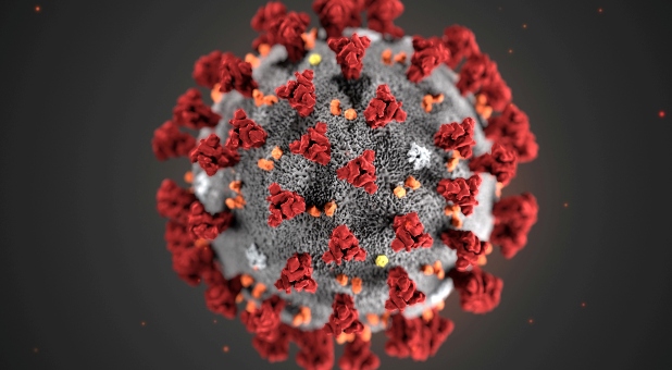 7 Good Things God Is Doing During the Coronavirus Crisis