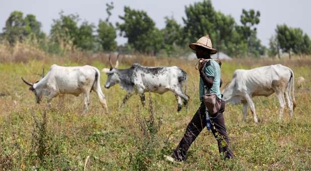 Report: Nigeria ‘Close to’ Genocide of Christians