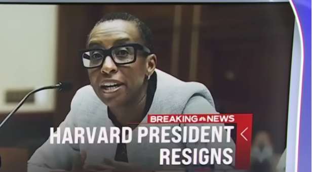 Harvard President’s Resignation: Don’t Dare Pull the Race Card