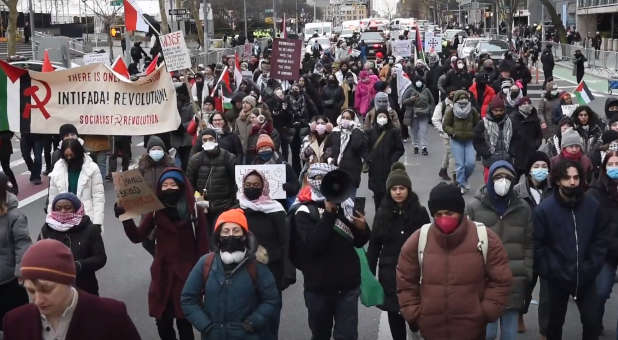 Anti-Israel protesters.