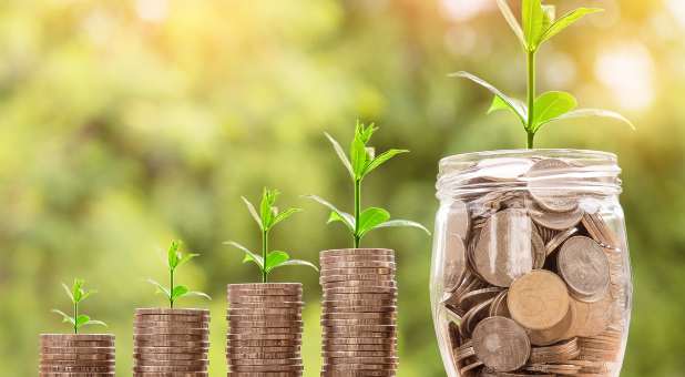 Plants sprouting on stacks and jar of coins.