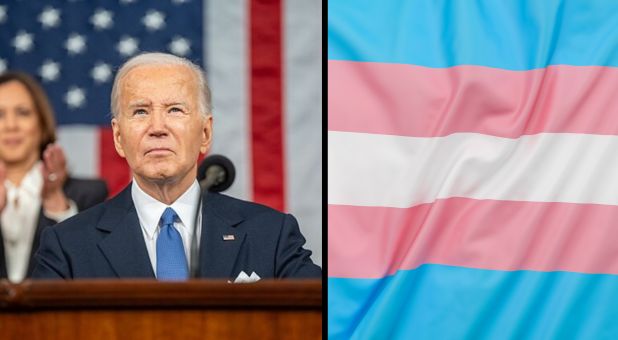 President Biden, Transgender Flag