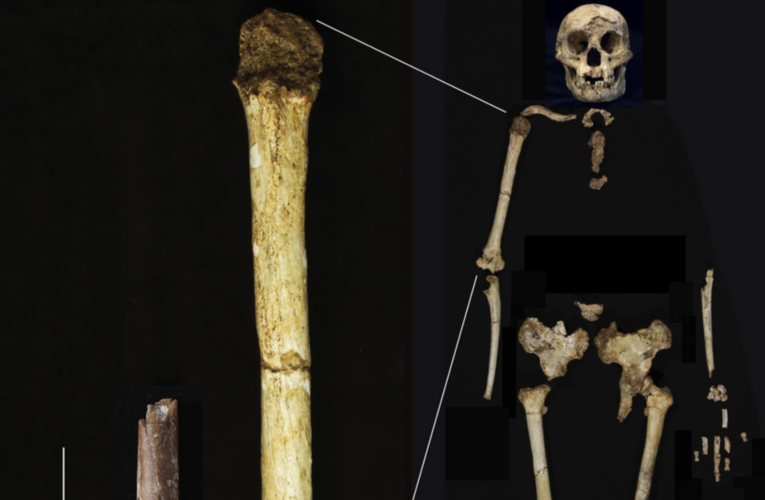 ‘Hobbit’ Remains Found in Incredible Discovery