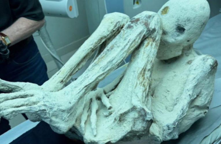 U.S. Promises to Investigate ‘Peruvian Alien Mummies’